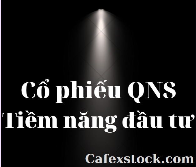Bàn về cổ phiếu QNS, tiềm năng đầu tư dài hạn