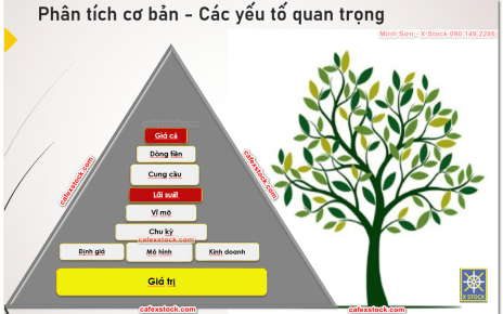 Phân tích cơ bản doanh nghiệp dưới góc nhìn thị trường