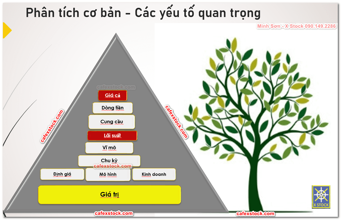 Phân tích cơ bản doanh nghiệp dưới góc nhìn thị trường